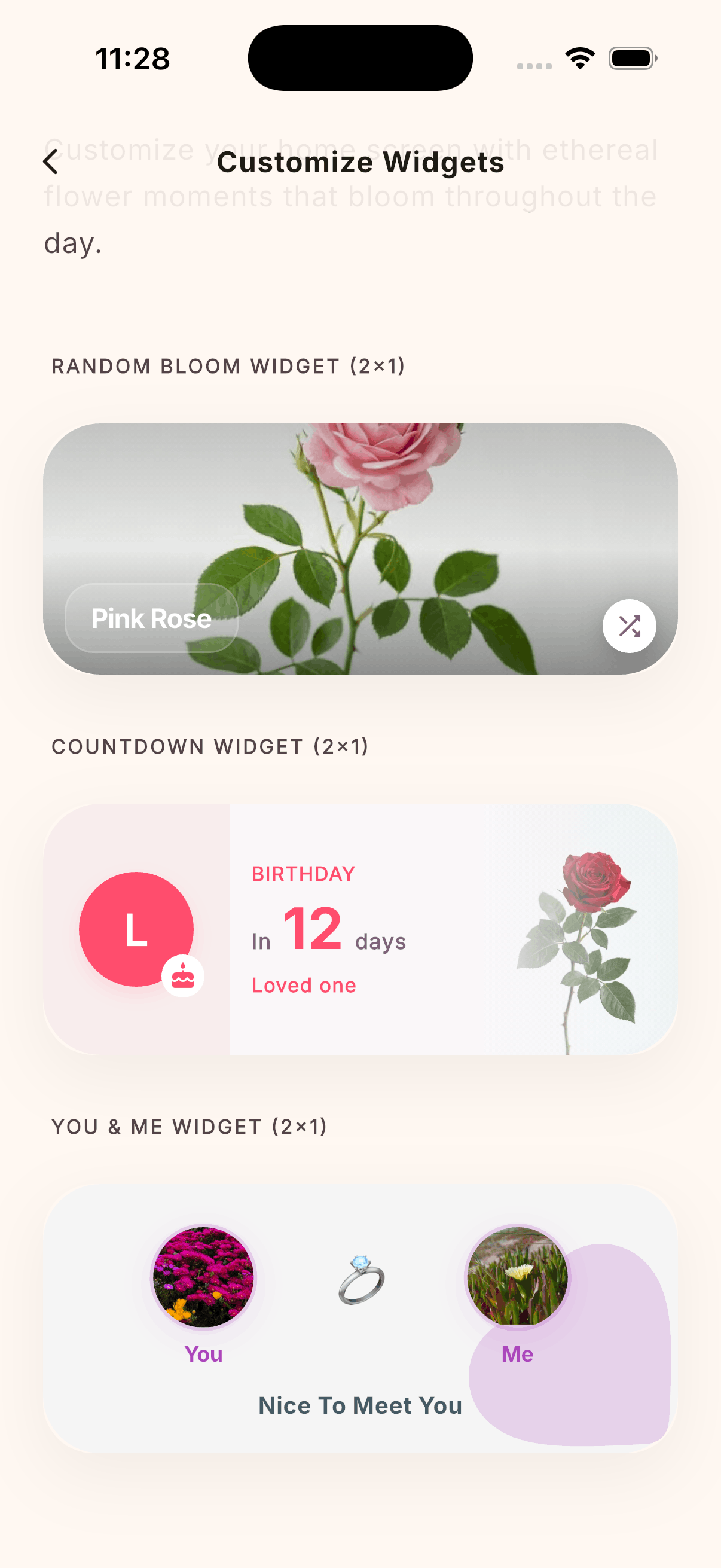 Dashboard Widget